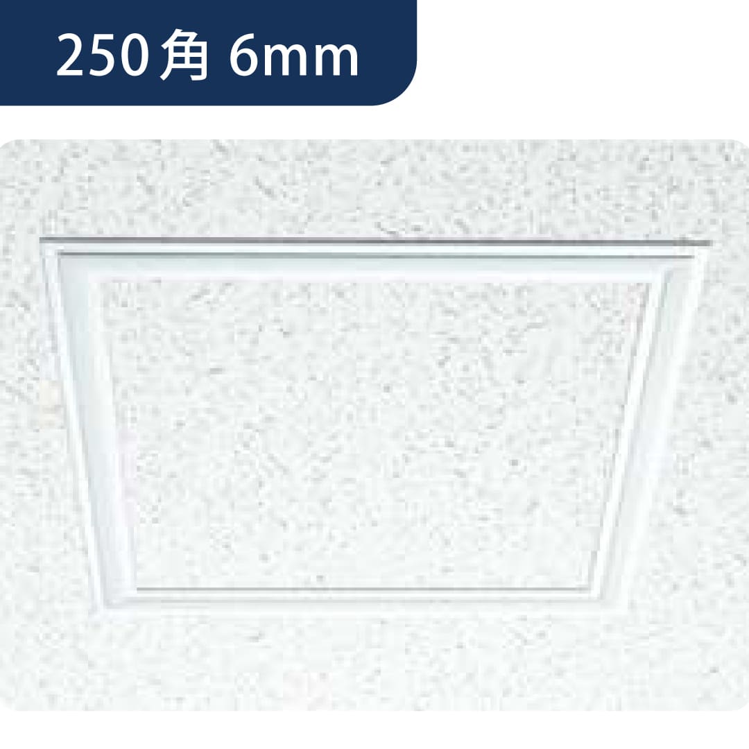 点検口 ビニール 天井 壁 FH250-6 6mm ホワイト 62194256 250角 天井点検口 壁点検口 創建